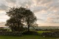 cox tor sunset